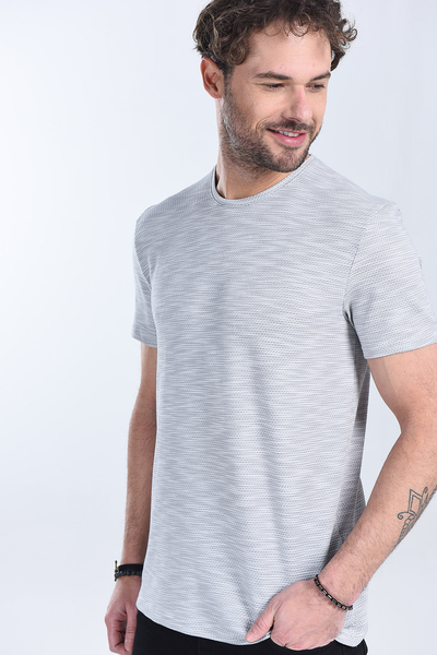 Erkek Gri Bisiklet Yaka Regular T-Shirt