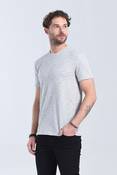 Erkek Gri Bisiklet Yaka Regular T-Shirt