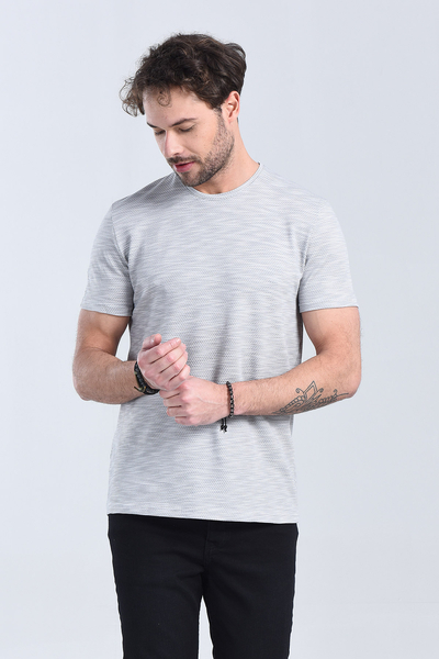 Erkek Gri Bisiklet Yaka Regular T-Shirt