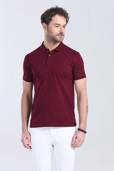 Erkek Vişne Çürüğü Polo Yaka Regular T-Shirt